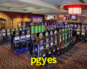 Experiência VIP pgyes