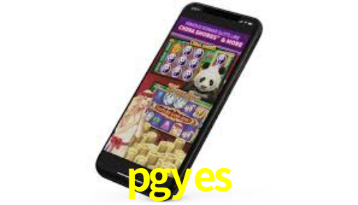 pgyes.com